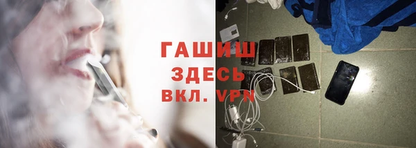 гашиш Богданович