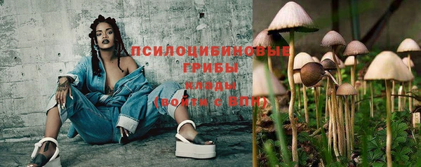 мдма Белокуриха