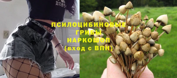 гашишное масло Богородицк