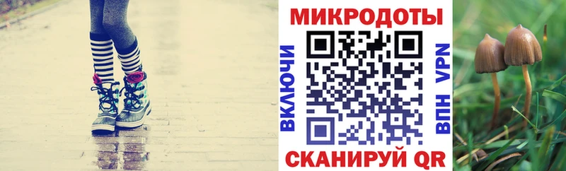 Галлюциногенные грибы GOLDEN TEACHER  Духовщина 